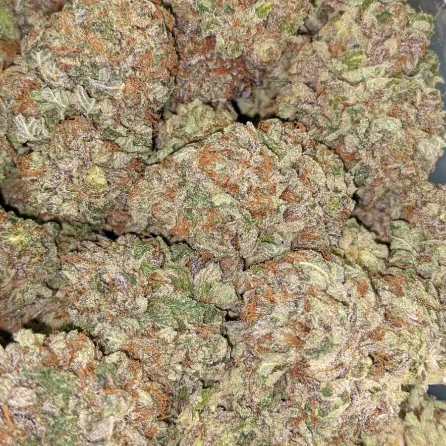 PURPLE JEDI KUSH 3 I $99 Oz - Purple Jedi Kush