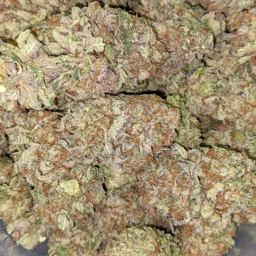 PURPLE JEDI KUSH 5 I $99 Oz - Purple Jedi Kush