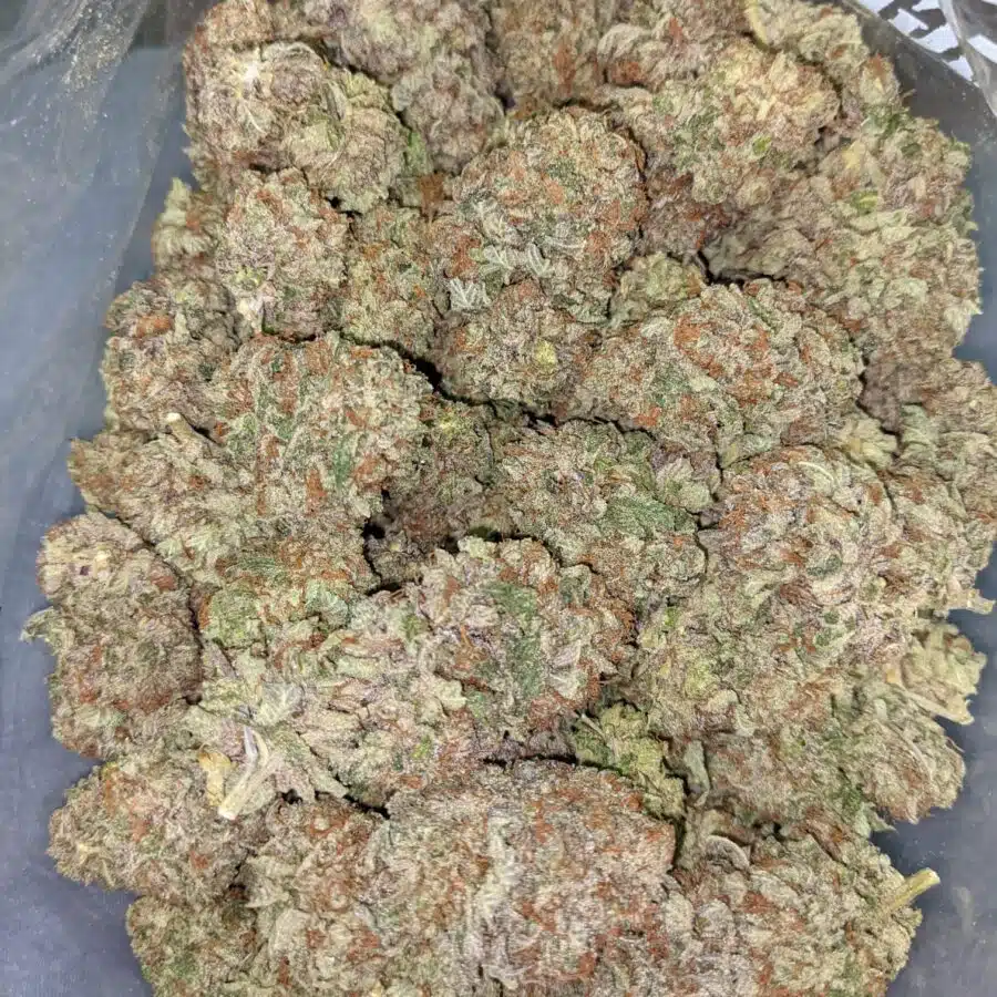 PURPLE JEDI KUSH 7 I $99 Oz - Purple Jedi Kush