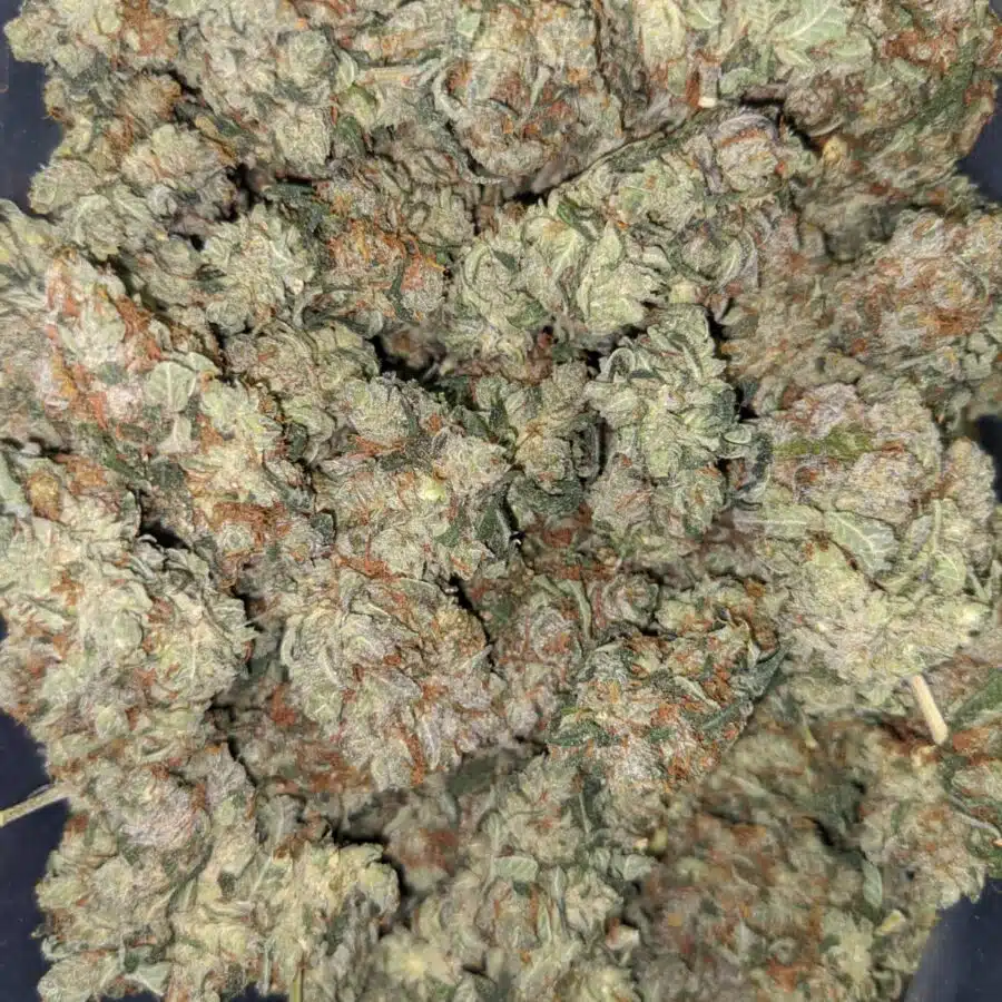 SUPER KUSH 2 I Super Kush