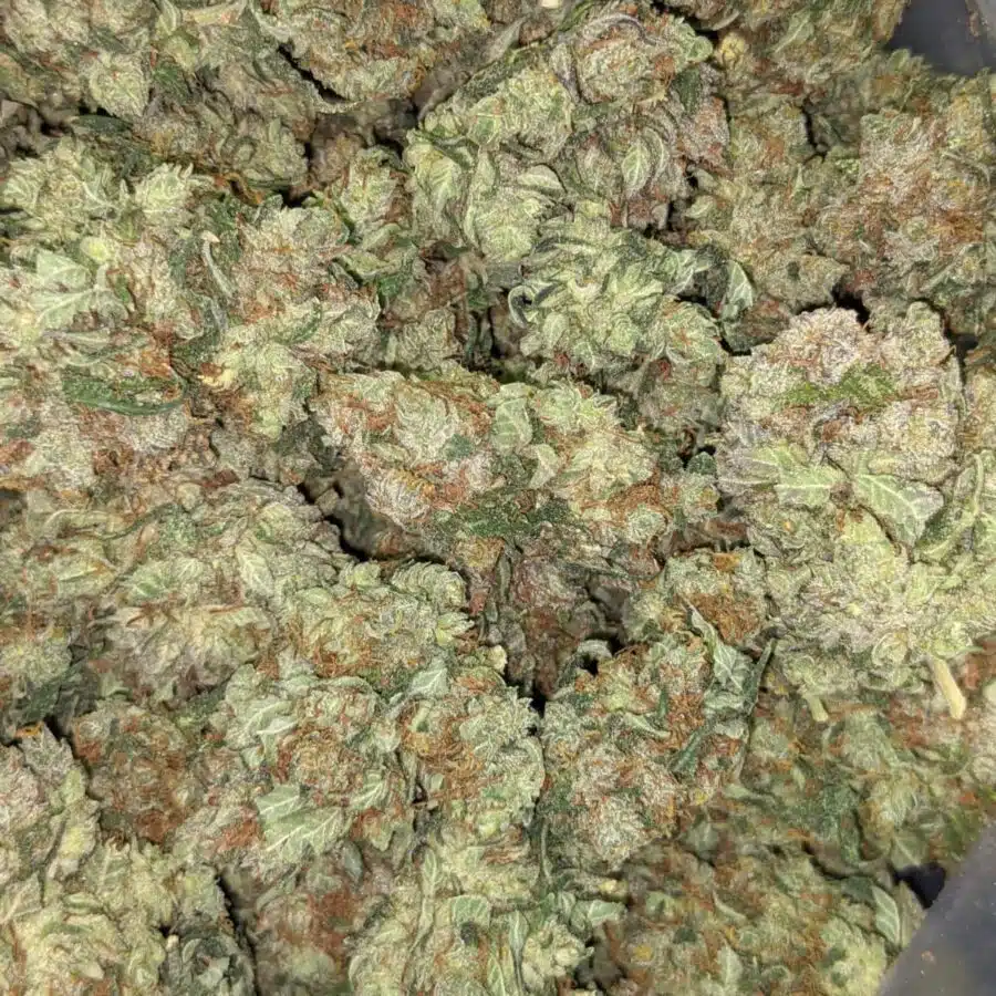 SUPER KUSH 3 I Super Kush