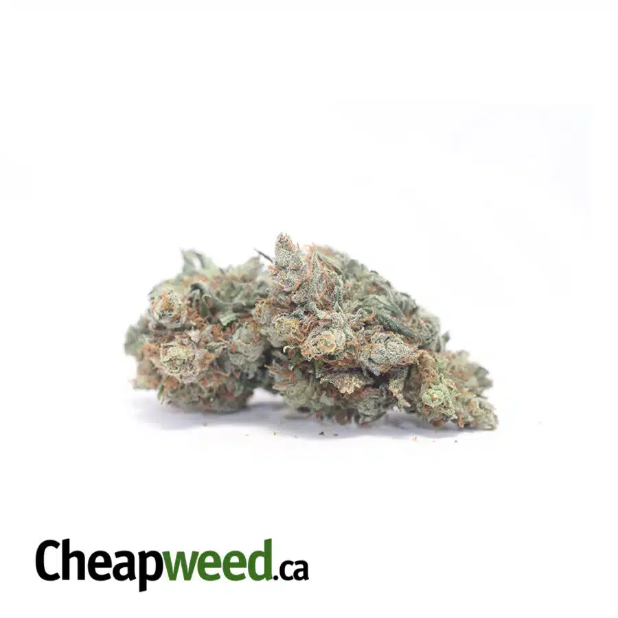 SUPER KUSH 3 I Super Kush