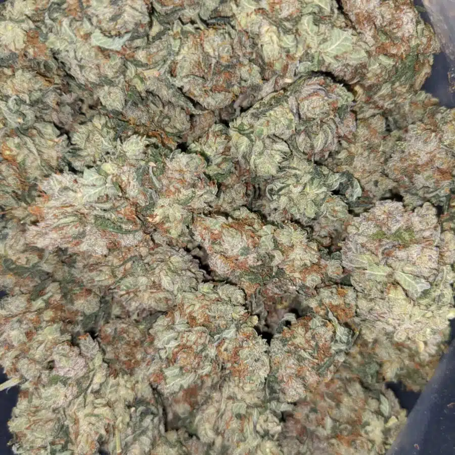 SUPER KUSH 4 I Super Kush