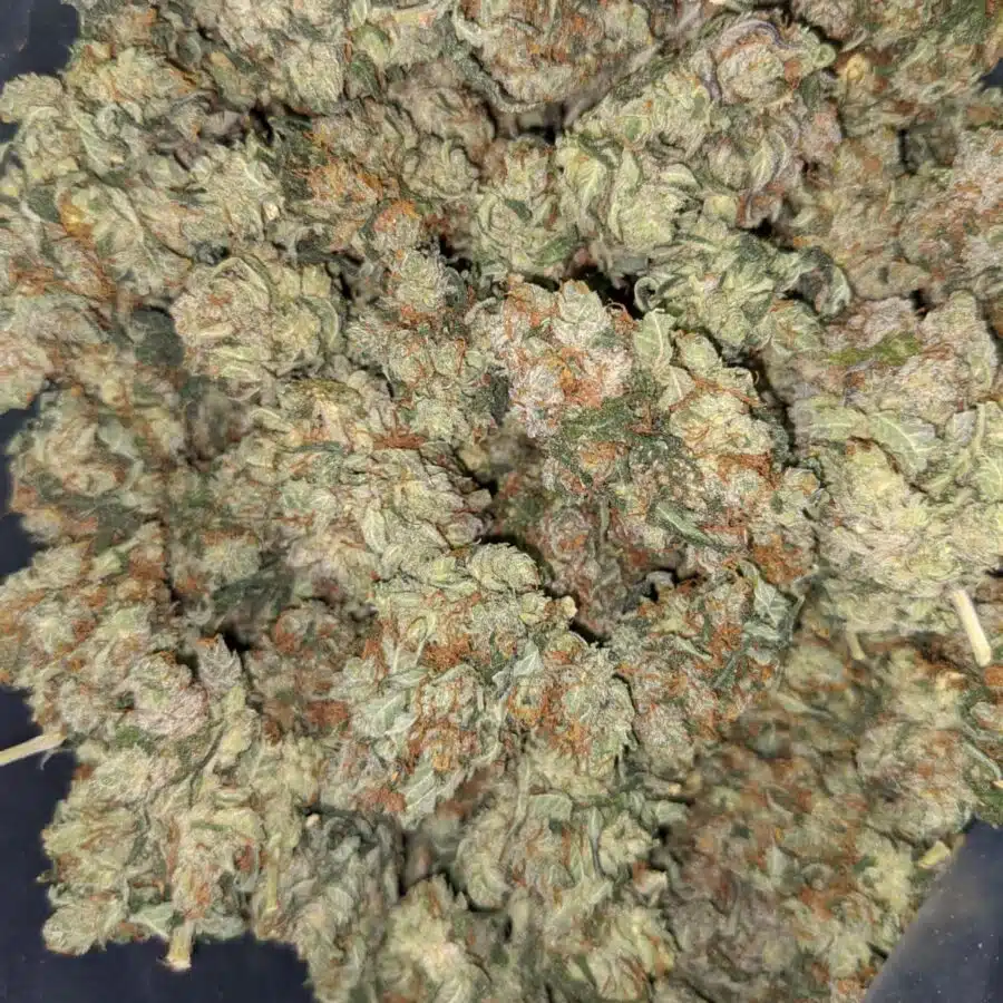SUPER KUSH 6 I Super Kush