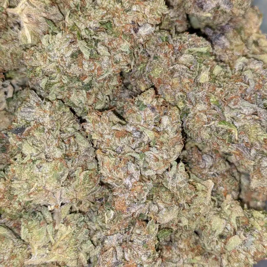 TONY PINK KUSH 2 I $109 Oz - Pink Kush