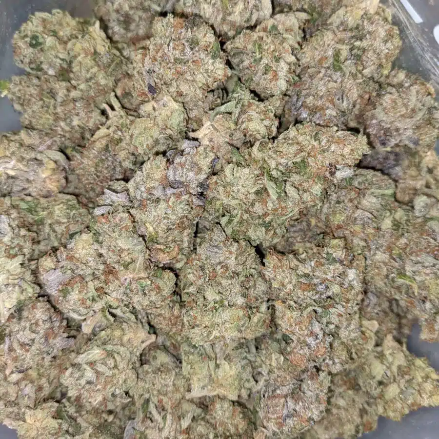 TONY PINK KUSH 3 I $109 Oz - Pink Kush