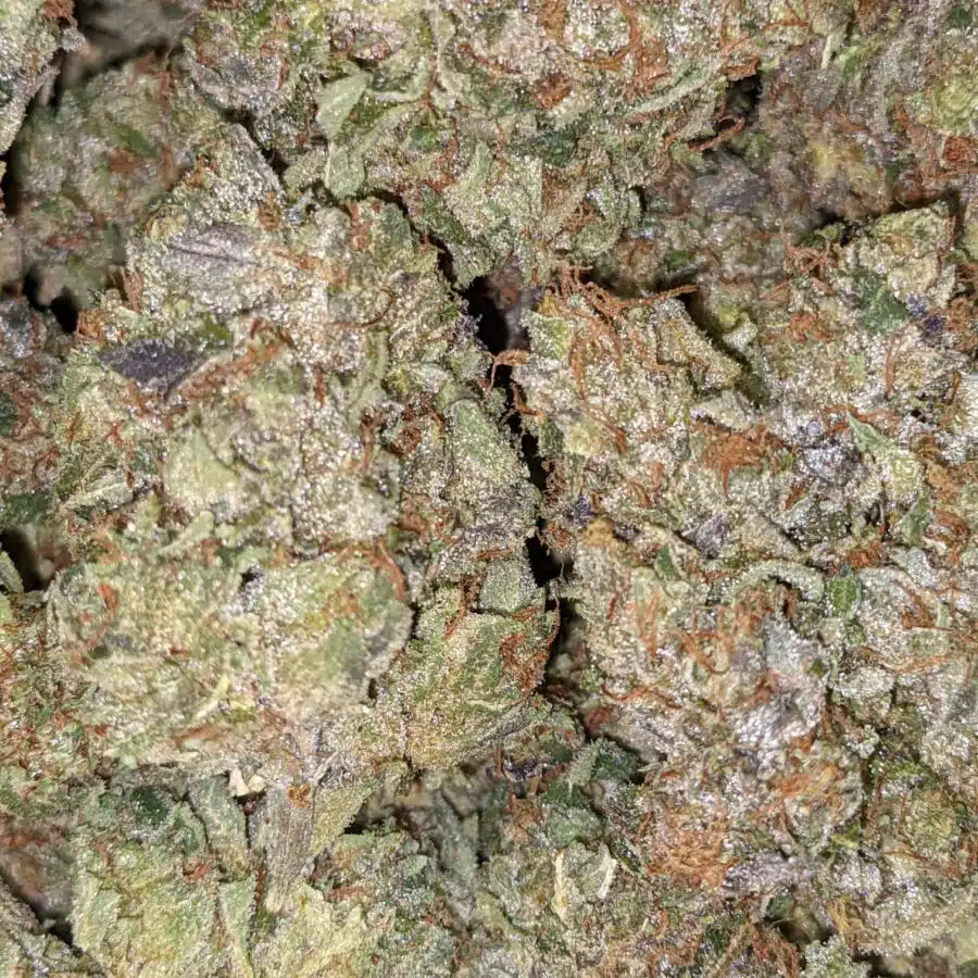 TONY PINK KUSH 5 I $109 Oz - Pink Kush