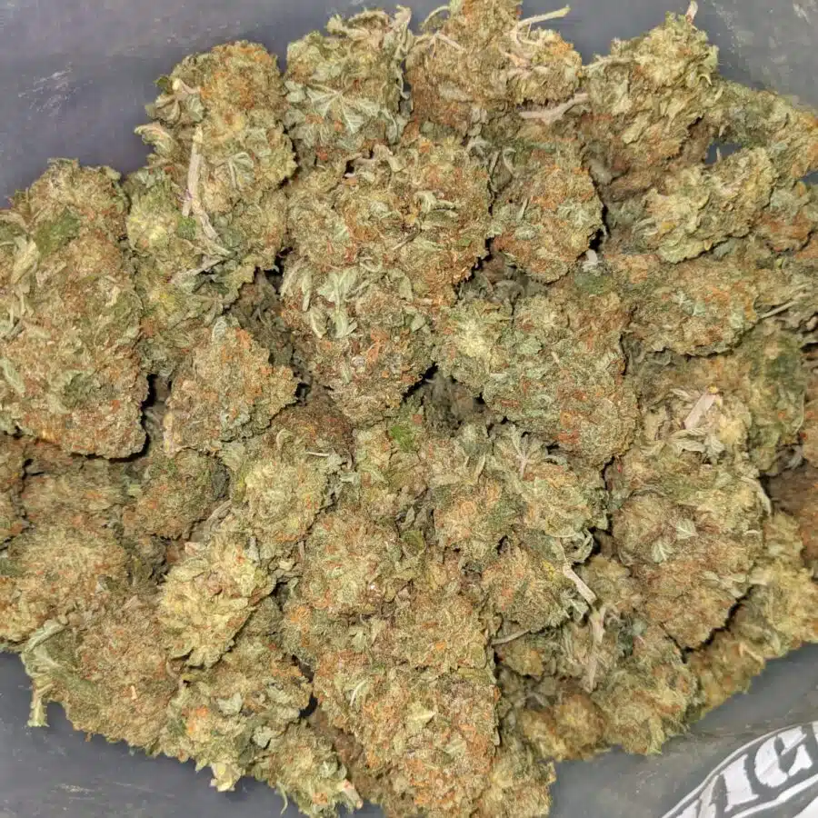 WTF KUSH DOD 1 I $99 Oz - Cheap WTF Kush