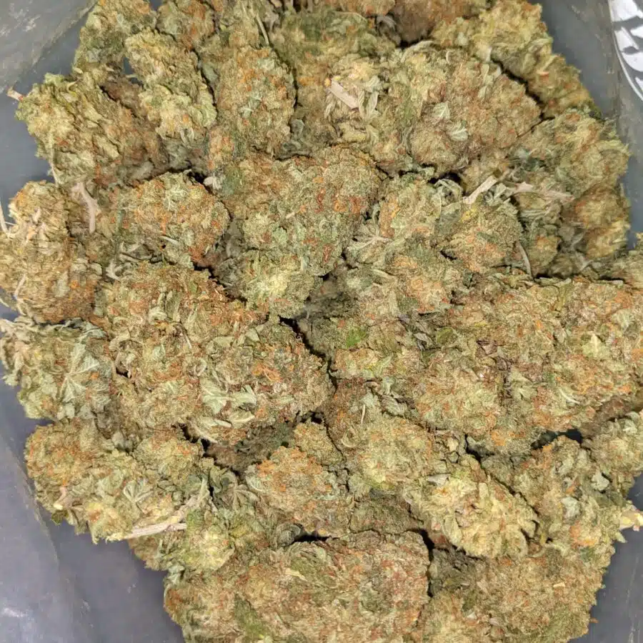 WTF KUSH DOD 2 I $99 Oz - Cheap WTF Kush