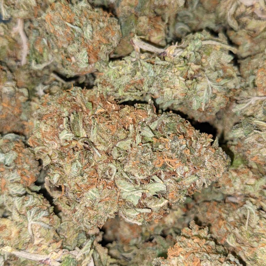 WTF KUSH DOD 4 I $99 Oz - Cheap WTF Kush