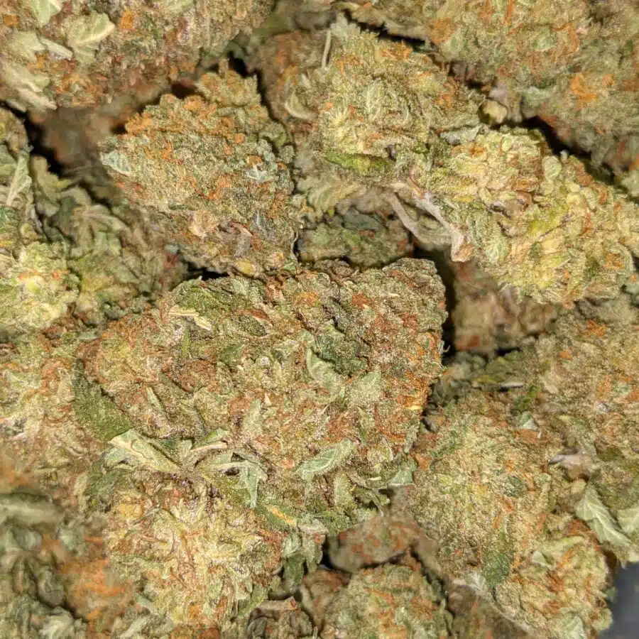 WTF KUSH DOD 5 I $99 Oz - Cheap WTF Kush