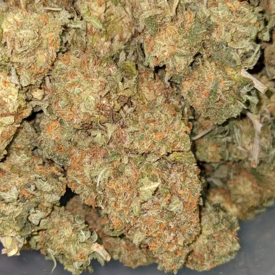 WTF KUSH DOD 6 I $99 Oz - Cheap WTF Kush