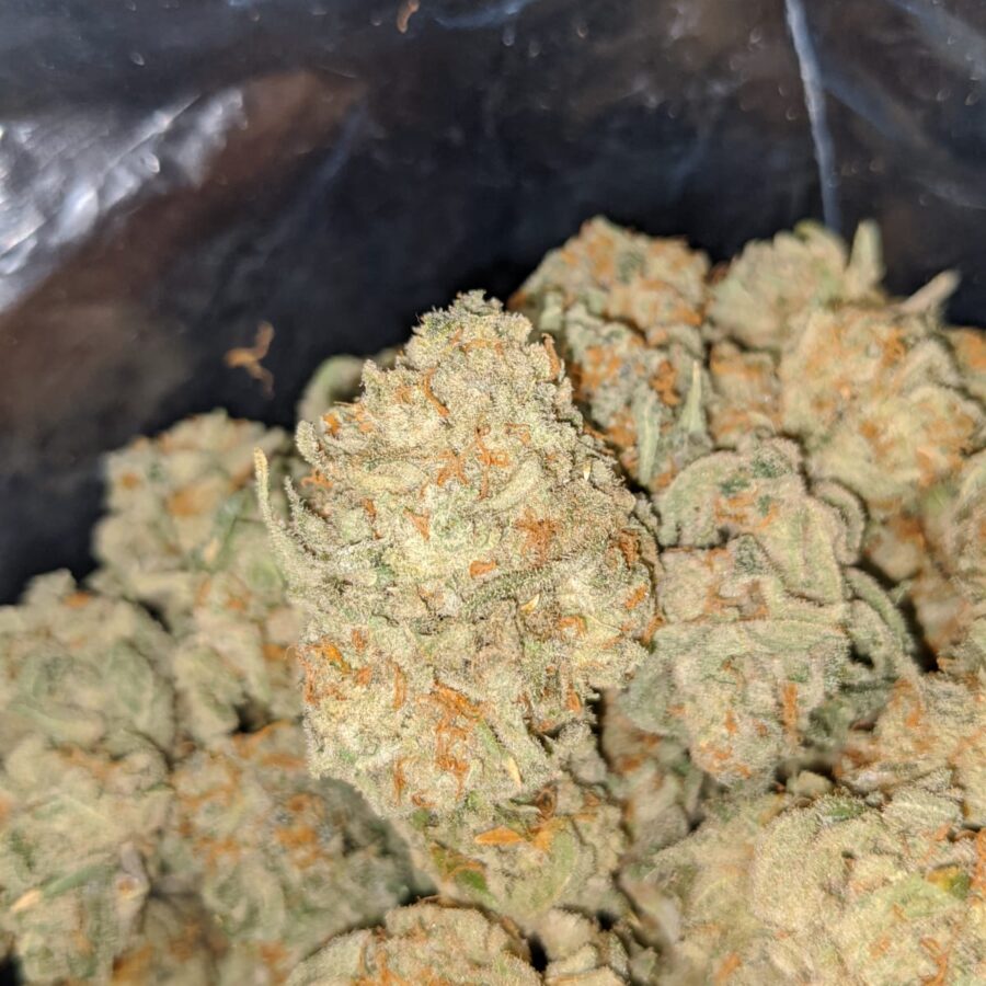 Snow White - Image 6