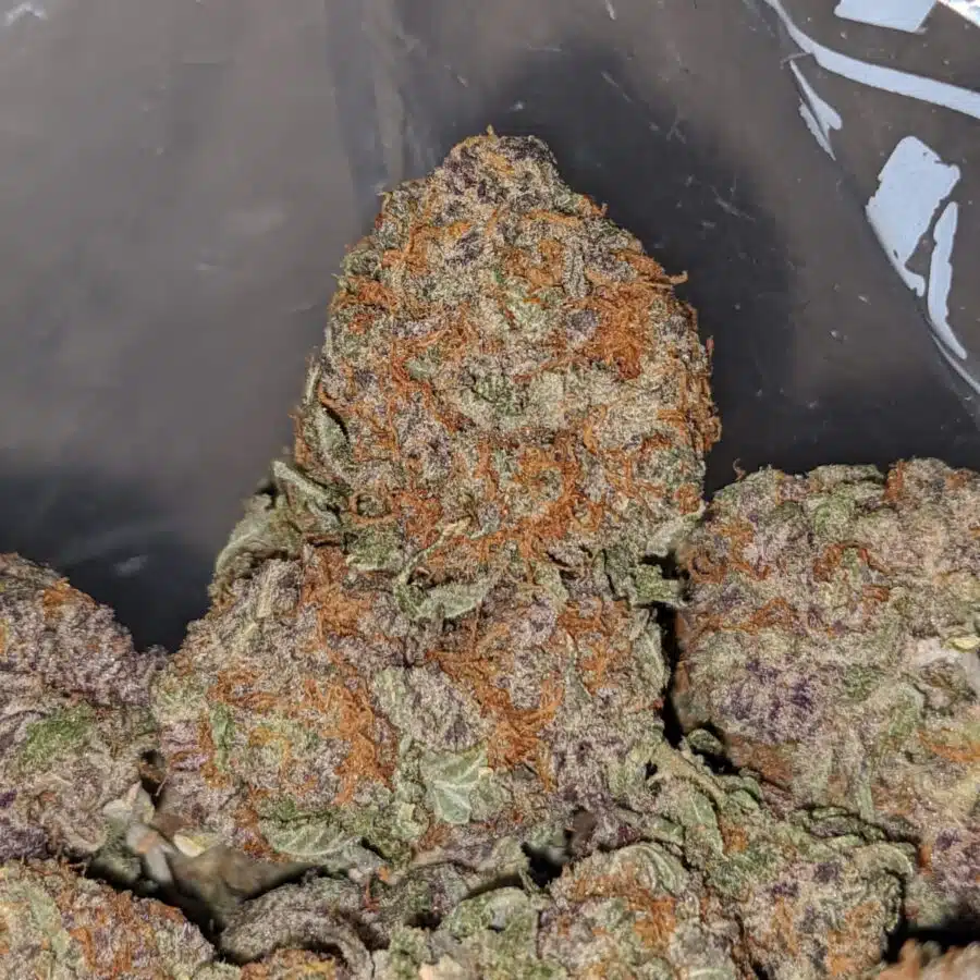 blueberry diesel 1 I Blueberry Diesel