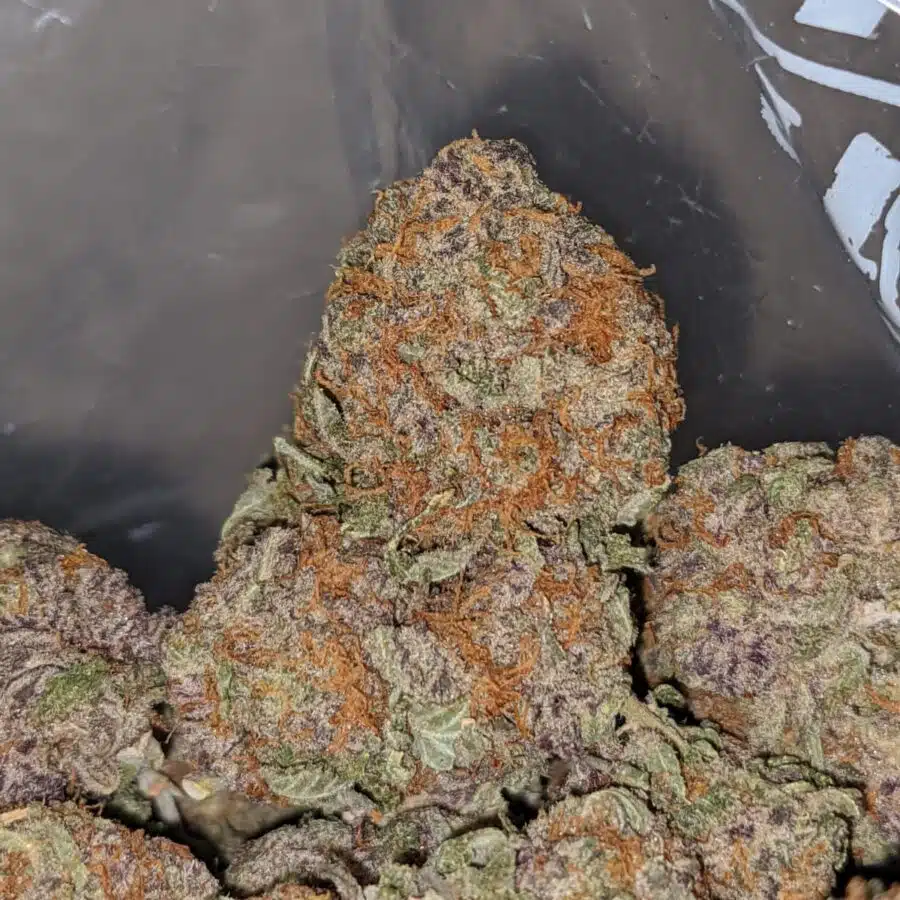 blueberry diesel 2 I Blueberry Diesel