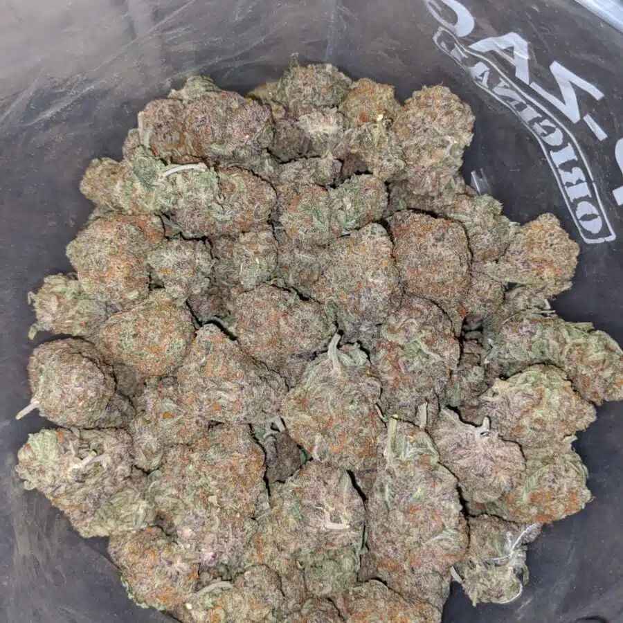 blueberry diesel 3 I Blueberry Diesel