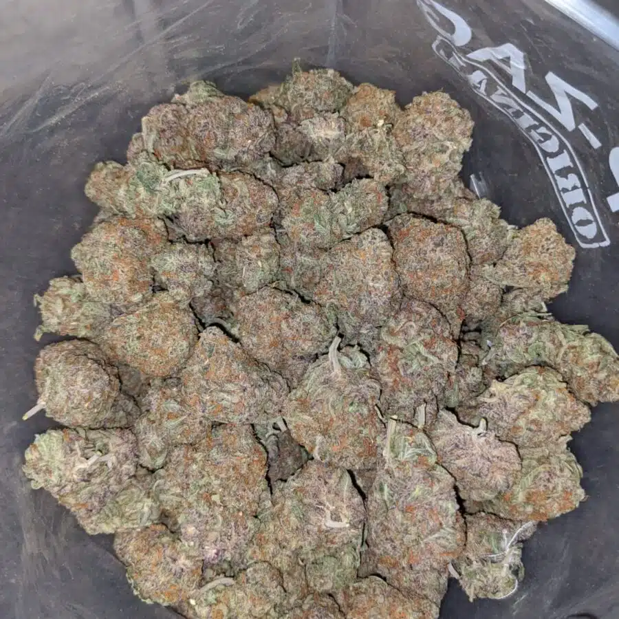blueberry diesel 4 I Blueberry Diesel