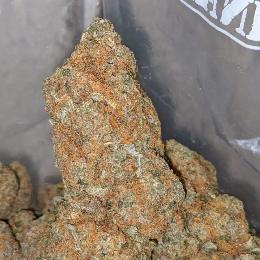 clemintine 1 I Clementine