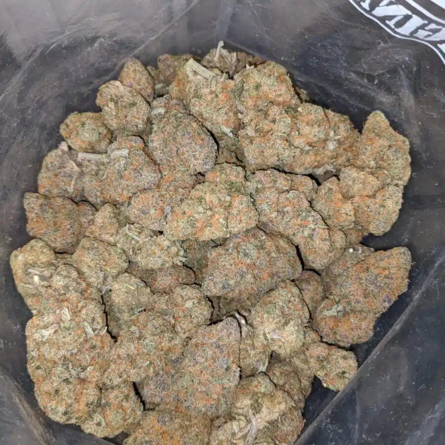 clemintine 3 I Clementine