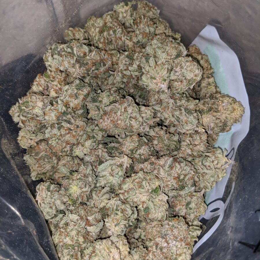 g 13 aaa 1 I G-13 AAA