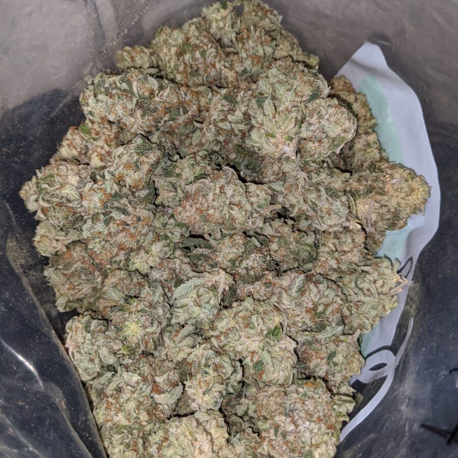 g 13 aaa 3 I G-13 AAA