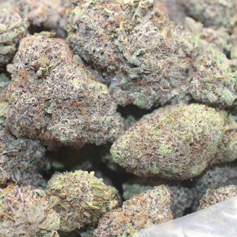 g 25 3 I Astro Bubba