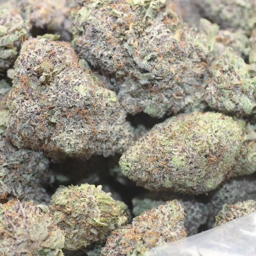 g 25 3 I Astro Bubba