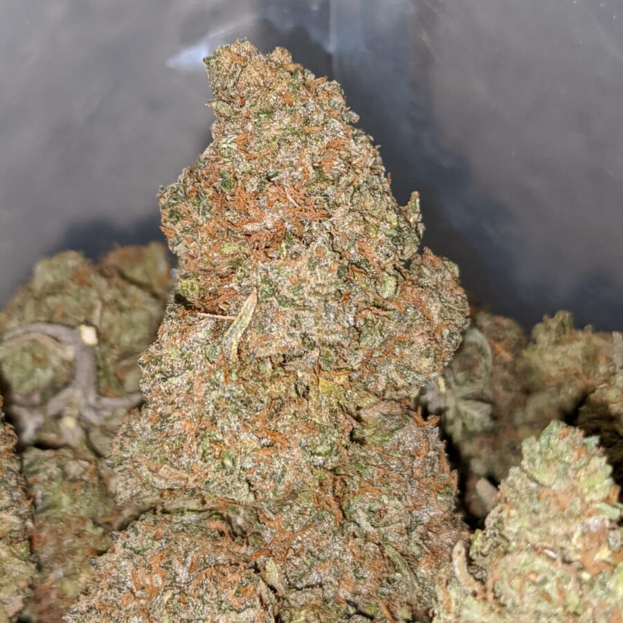 jelly breathe 1 I Platinum Mendo Cookies