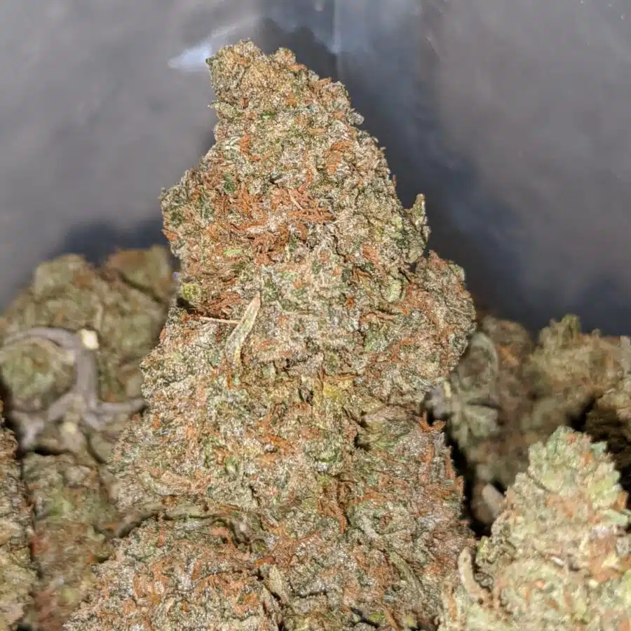 jelly breathe 1 I Platinum Mendo Cookies