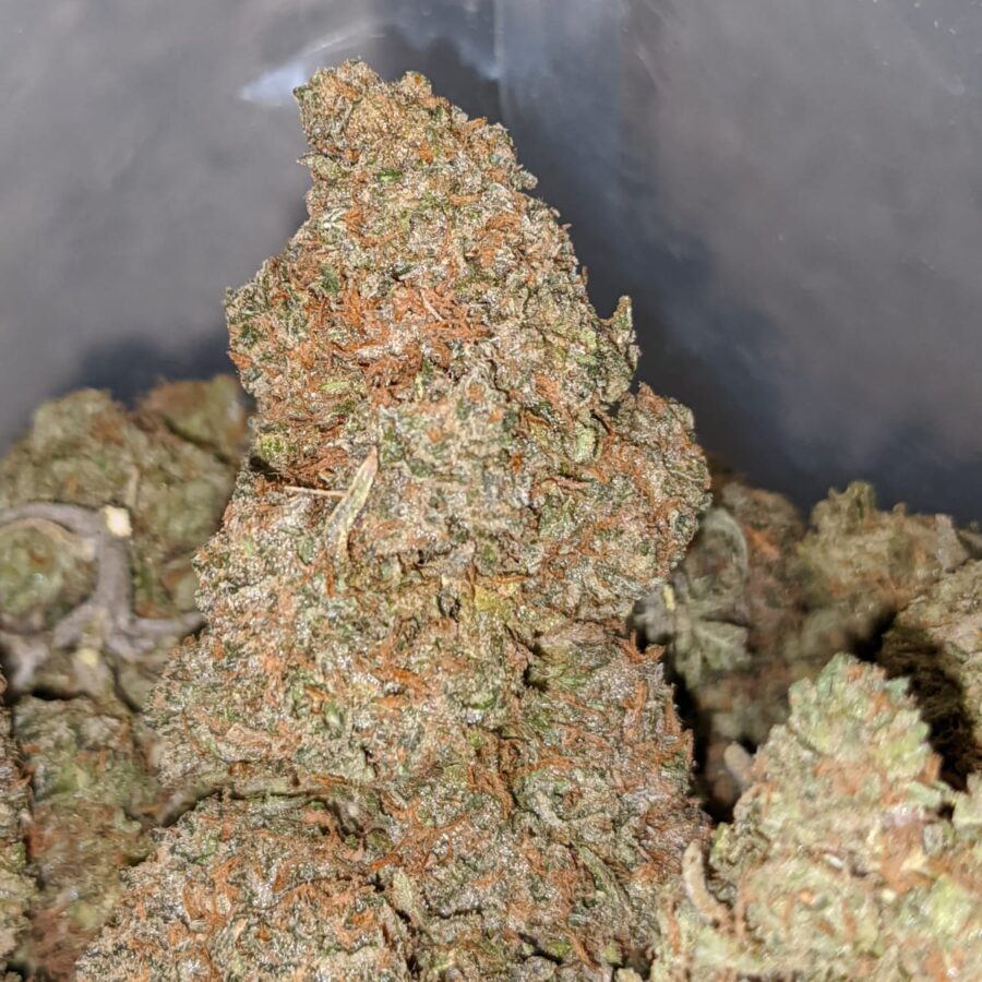 jelly breathe 2 I Platinum Mendo Cookies