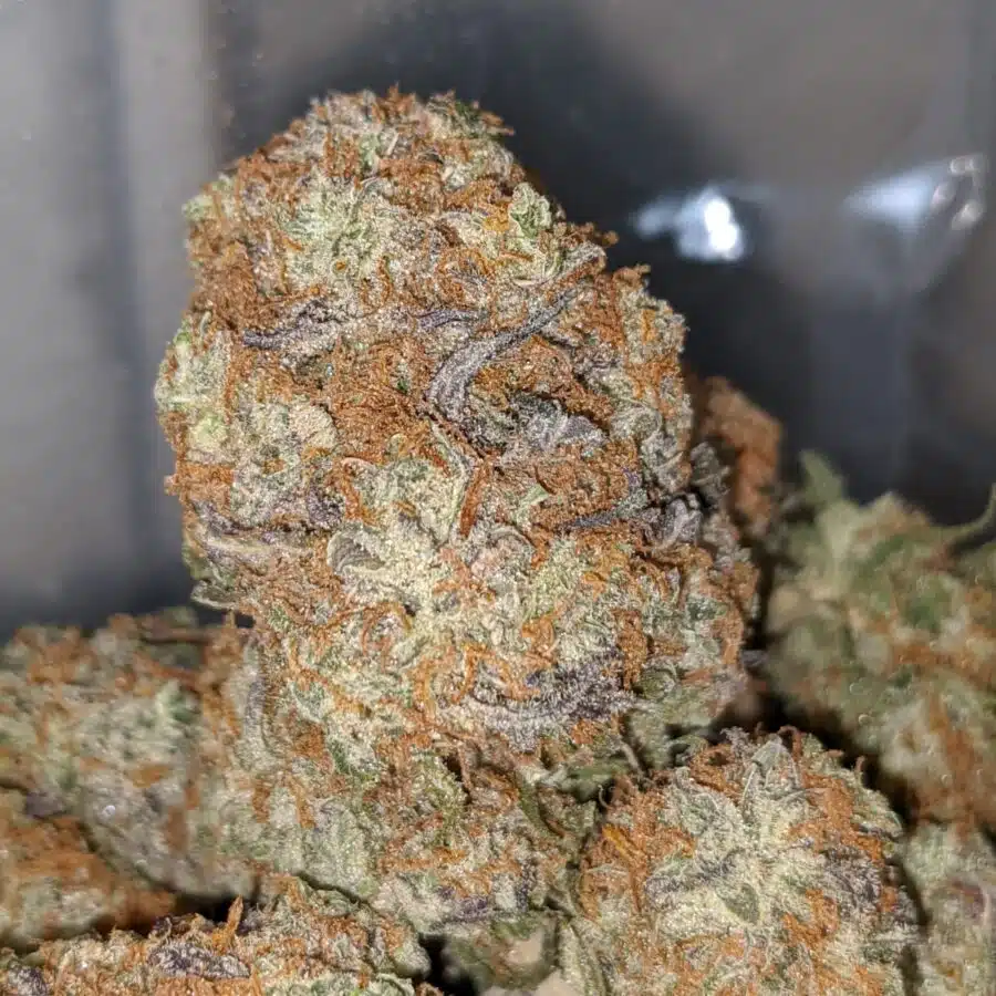peachs n cream aaa 1 I $ 69 Oz - Peaches & Cream