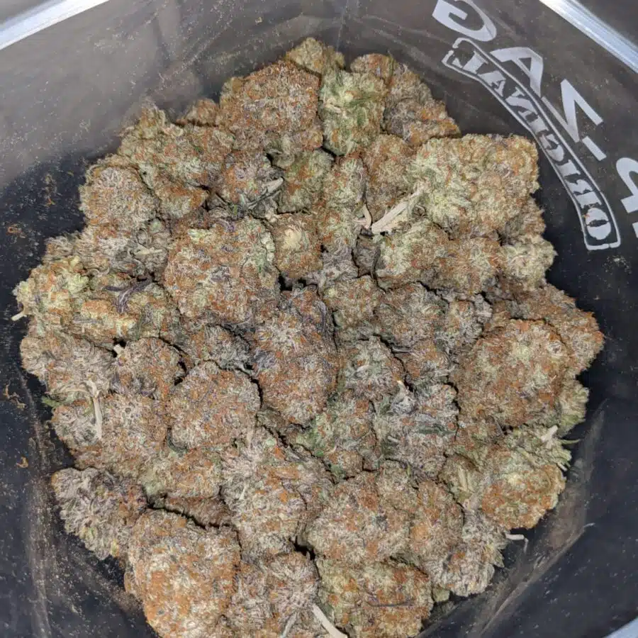 peachs n cream aaa 2 I $ 69 Oz - Peaches & Cream