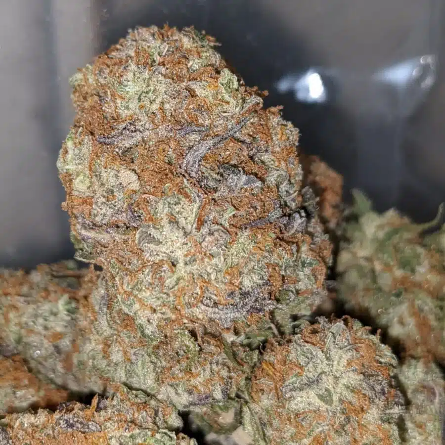 peachs n cream aaa 3 I $ 69 Oz - Peaches & Cream