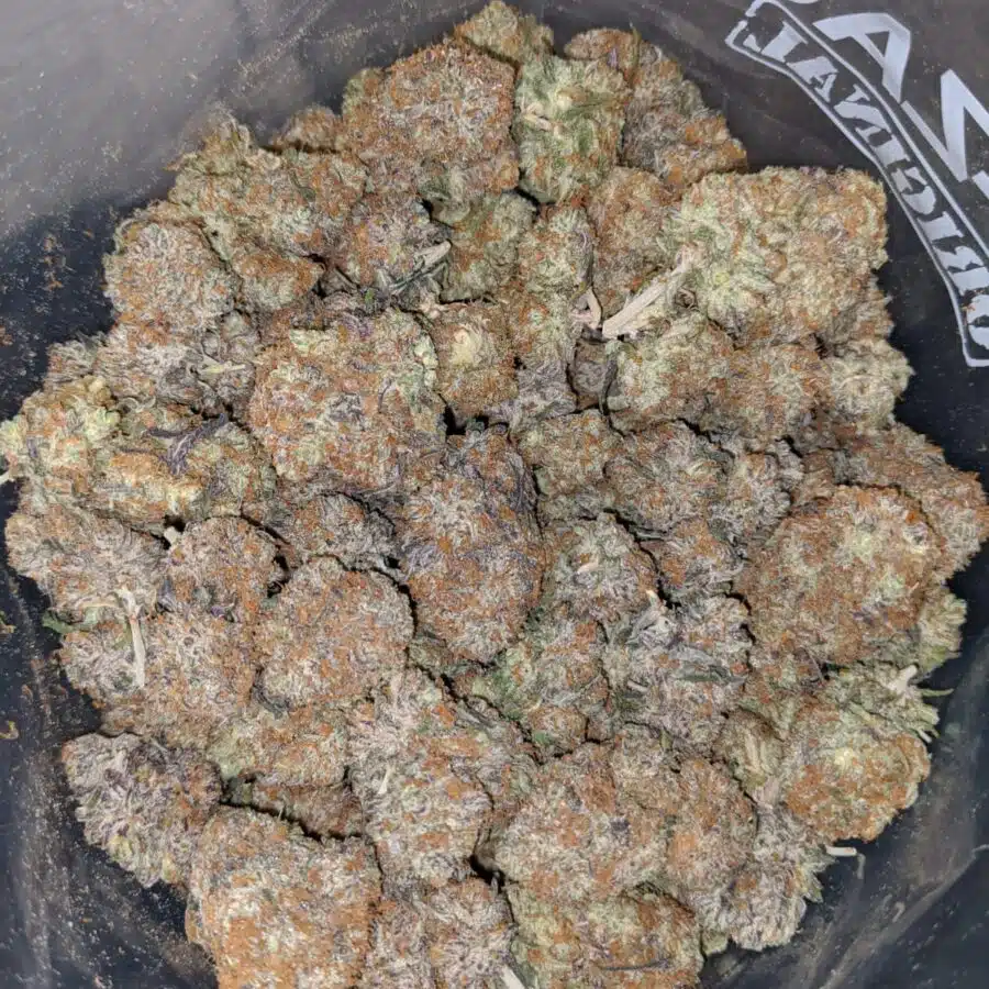 peachs n cream aaa 4 I $ 69 Oz - Peaches & Cream