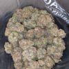 Purple Afghan Kush