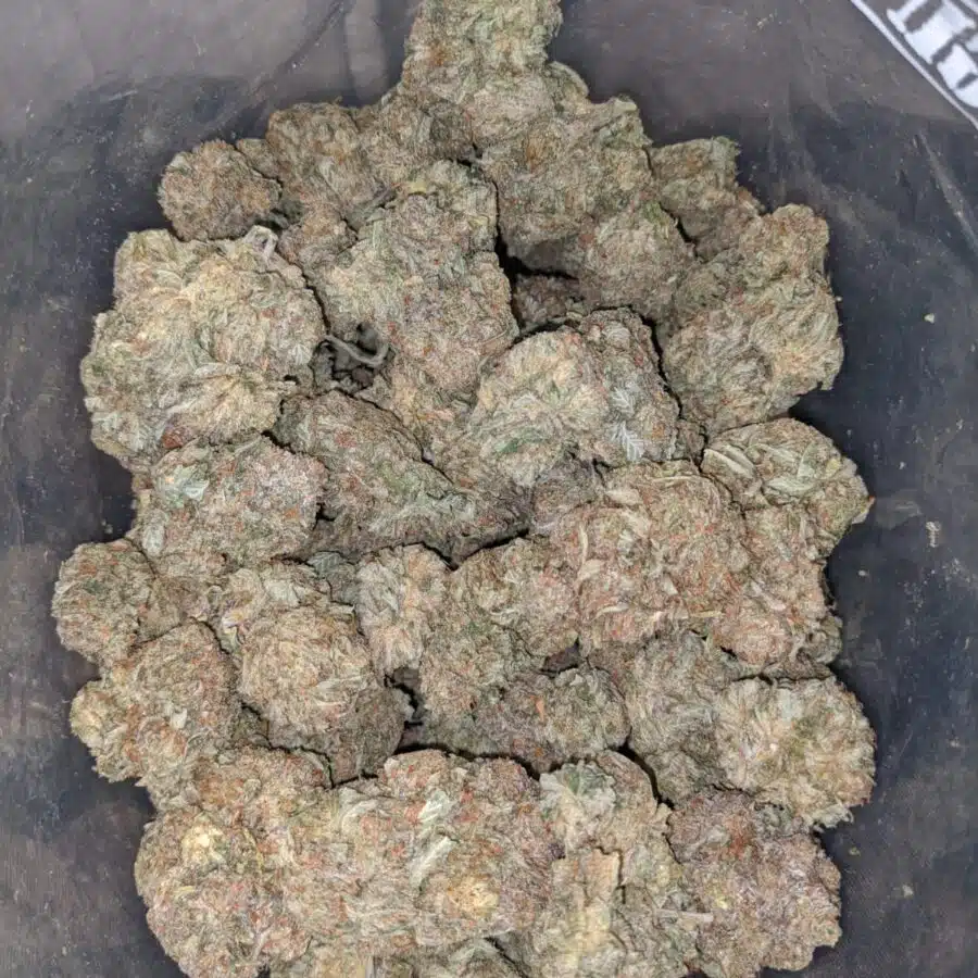 Sophie's Diesel