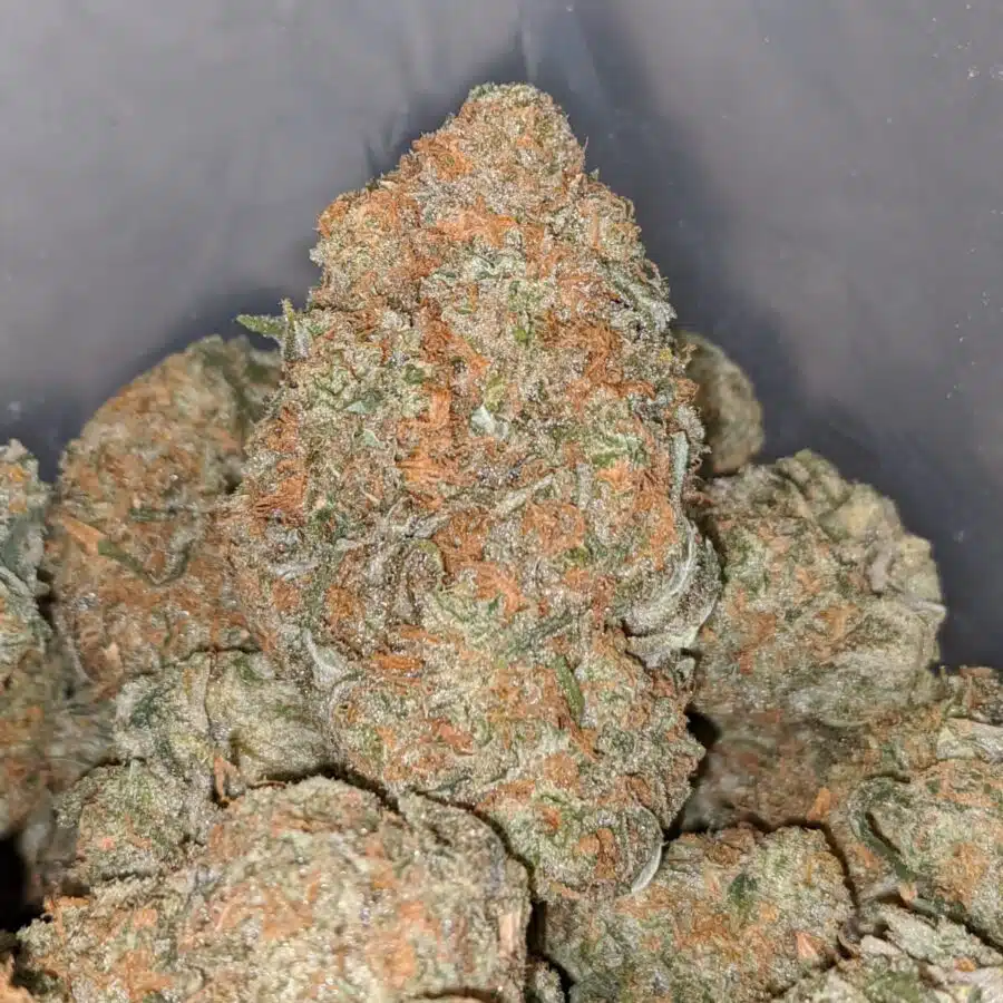 strawberry pie 1 I Strawberry Pie