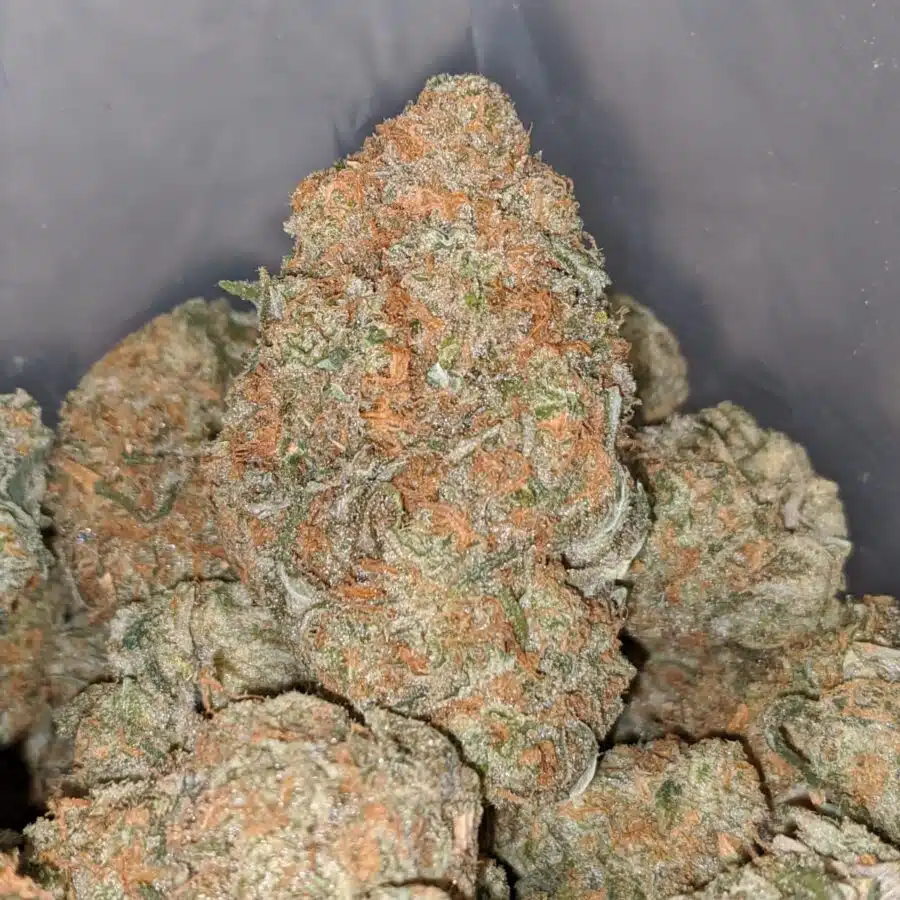 strawberry pie 2 I Strawberry Pie