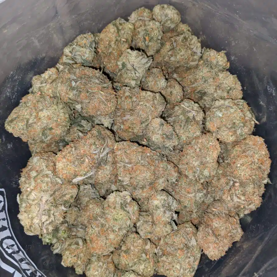 strawberry pie 4 I Strawberry Pie