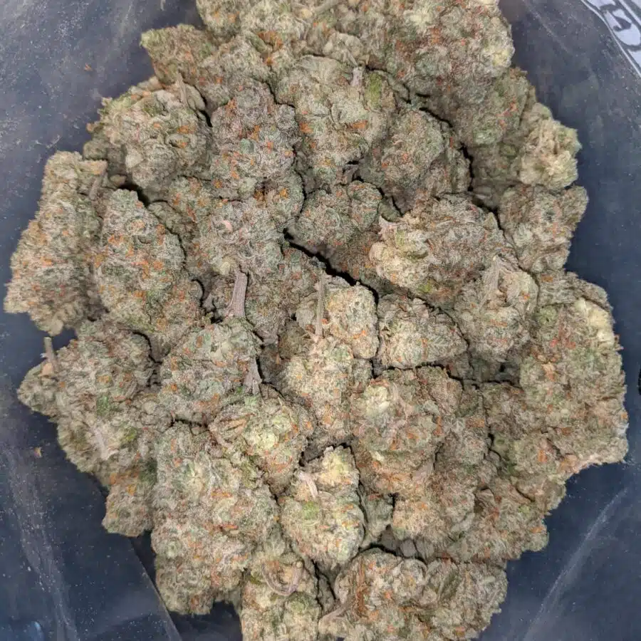 super silver haze 1 I Super Silver Haze