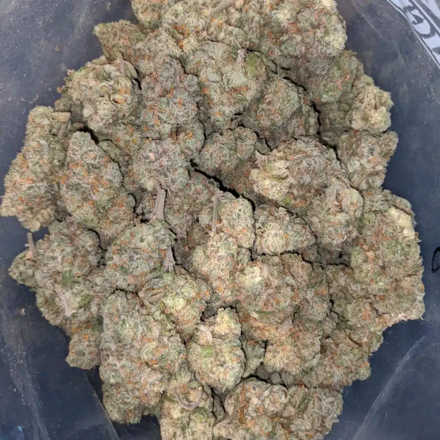 super silver haze 2 I Super Silver Haze