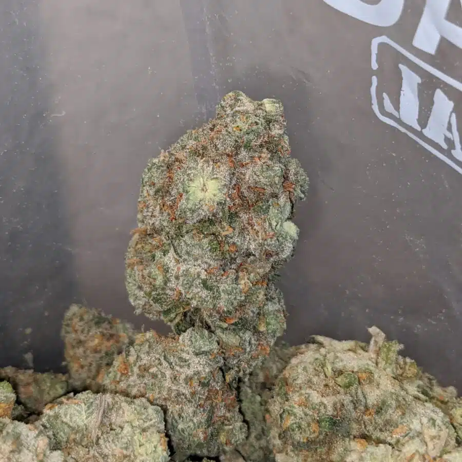 super silver haze 3 I Super Silver Haze