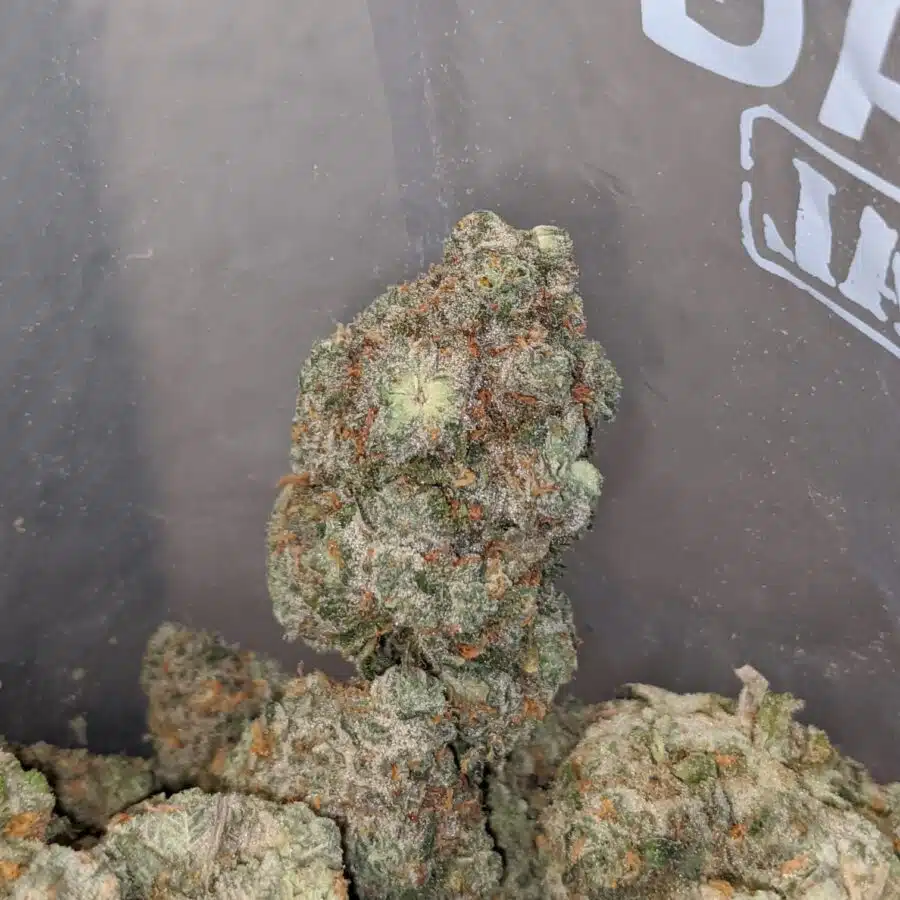super silver haze 4 I Super Silver Haze