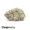 $109 Oz - Comatose