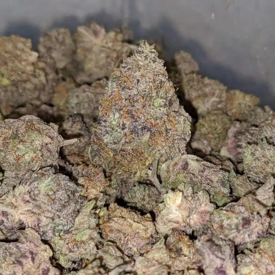 39 mendo breath smalls 1 I $39 Oz - Mendo Breath (Smalls)