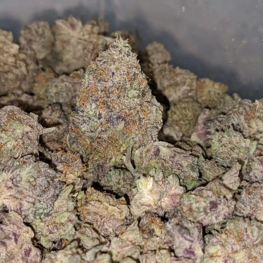 39 mendo breath smalls 2 I $39 Oz - Mendo Breath (Smalls)