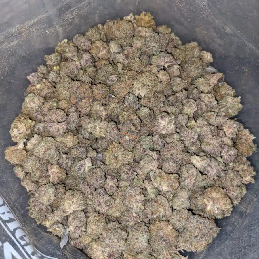 39 mendo breath smalls 3 I $39 Oz - Mendo Breath (Smalls)