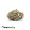 $107 Oz - Pink Champagne AAA