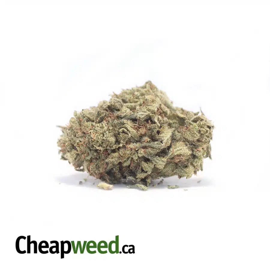 $107 Oz - Pink Champagne AAA