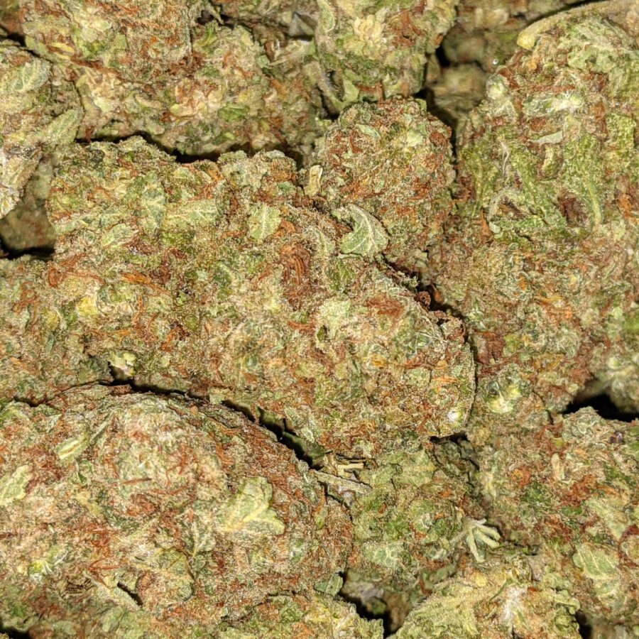 Papaya Kush - Deal of the Day - Image 9